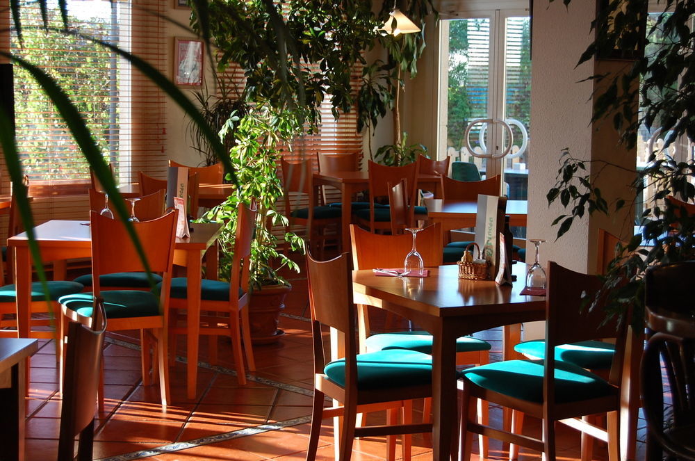 מלון Ibis Jerez De La Frontera Cadiz מראה חיצוני תמונה
